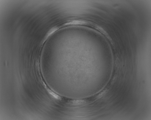 X0000051921425200506241457