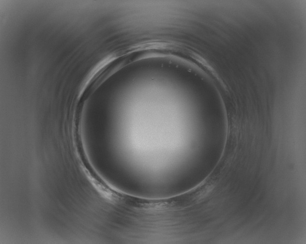 X0000051921426200506241457