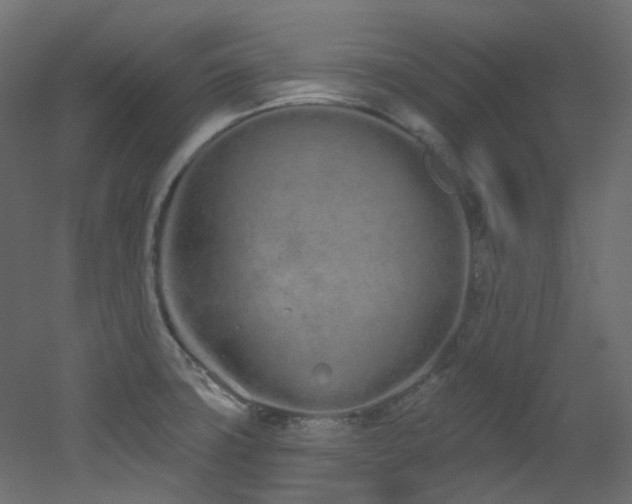 X0000051921427200506241457