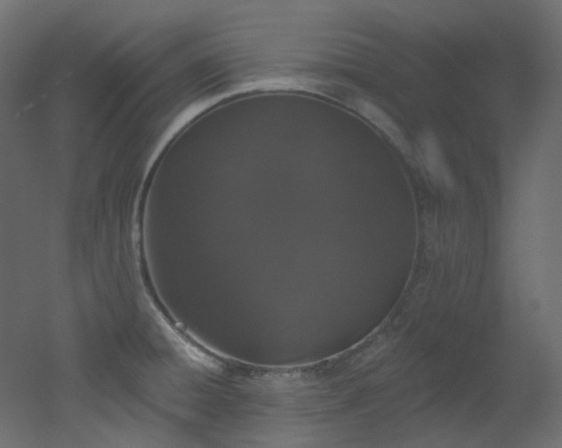 X0000051921428200506241457