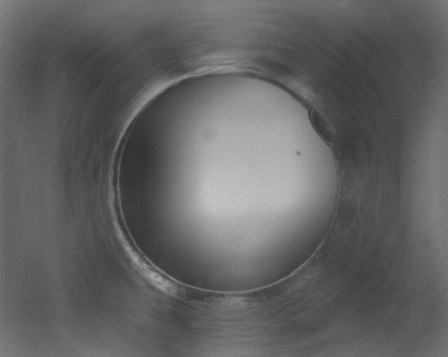 X0000051921431200506241457