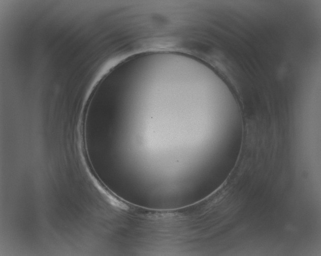 X0000051921432200506241457