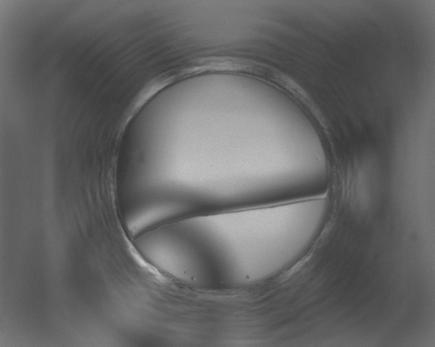 X0000051921433200506241457