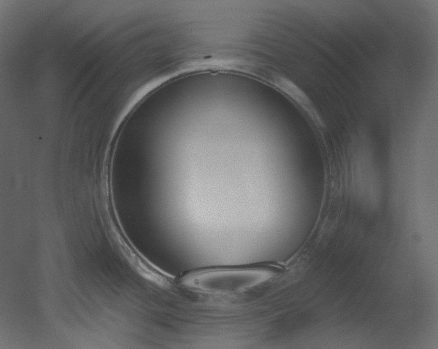 X0000051921436200506241457