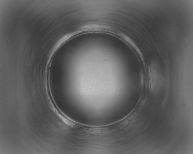 X0000051921437200506241457
