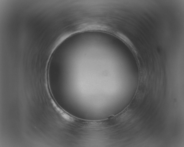X0000051921439200506241457