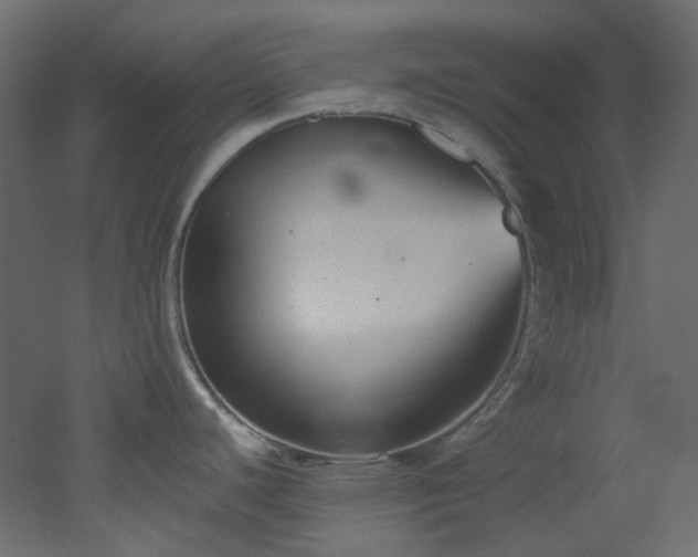X0000051921440200506241457