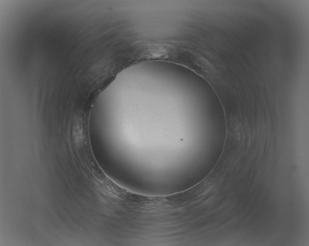 X0000051921442200506241457