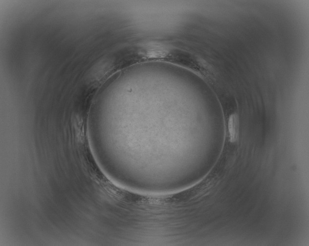 X0000051921443200506241456
