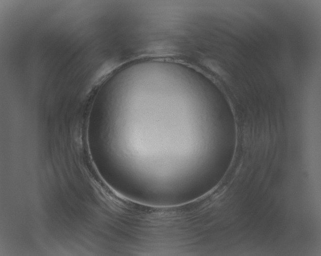 X0000051921451200506241456