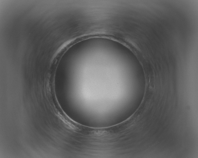 X0000051921452200506241456