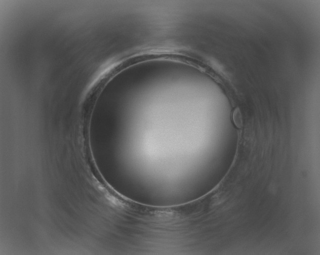 X0000051921456200506241456