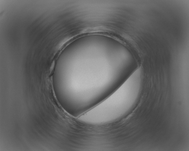 X0000051921457200506241456