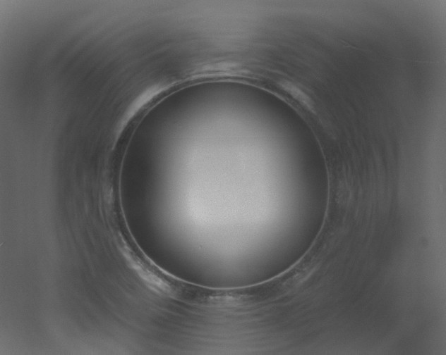 X0000051921458200506241456