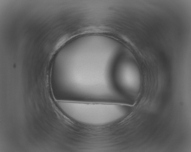 X0000051921459200506241456