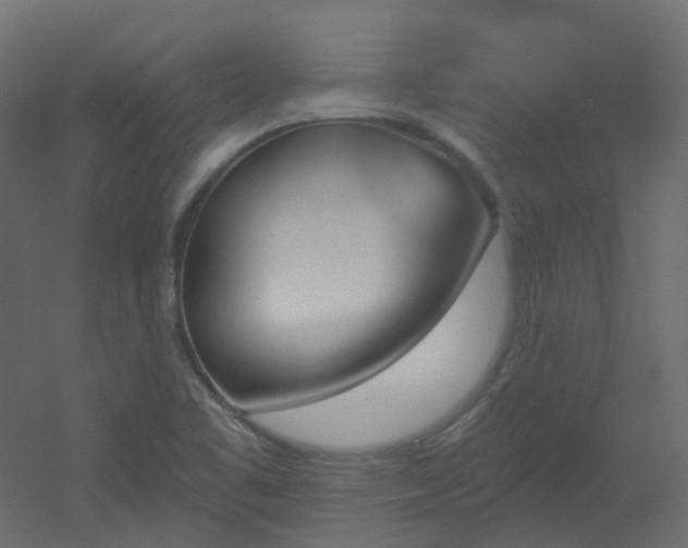 X0000051921461200506241456