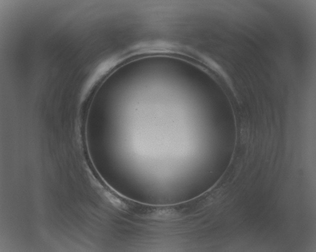 X0000051921464200506241456