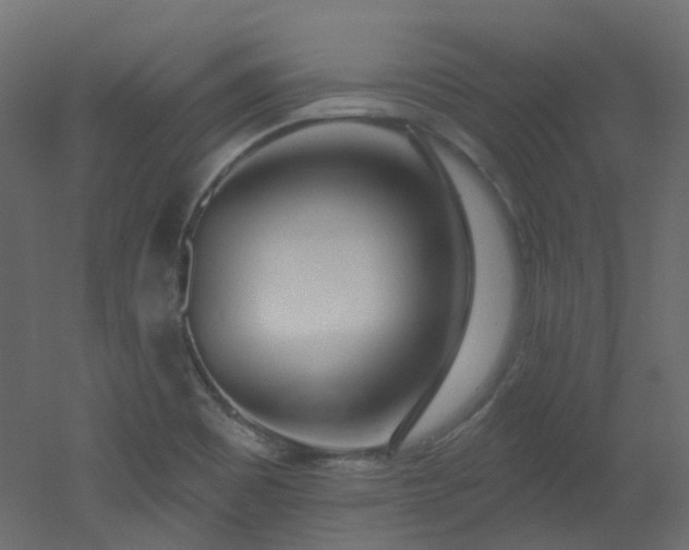 X0000051921465200506241456