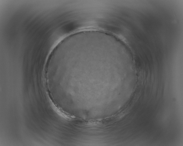 X0000051921466200506241456