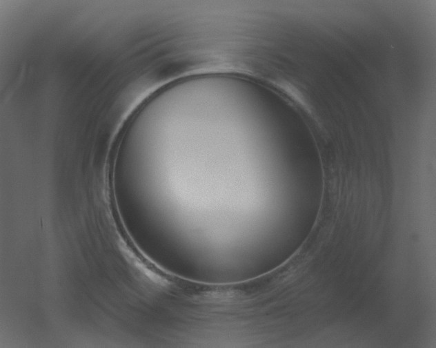 X0000051921468200506241456