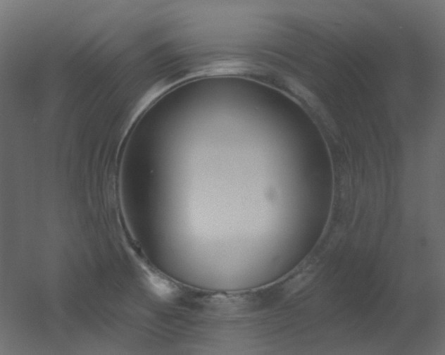 X0000051921473200506241456