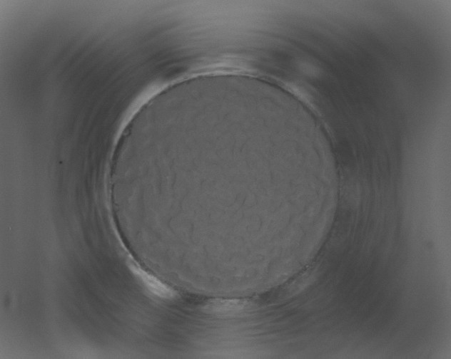 X0000051921474200506241456
