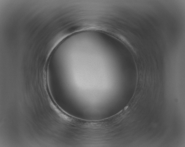 X0000051921476200506241456