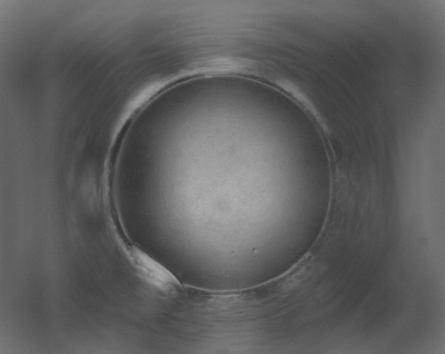 X0000051921477200506241456