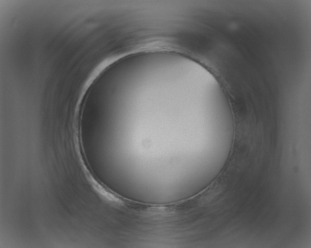 X0000051921478200506241456