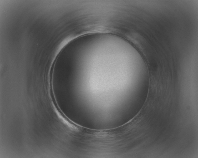 X0000051921479200506241456