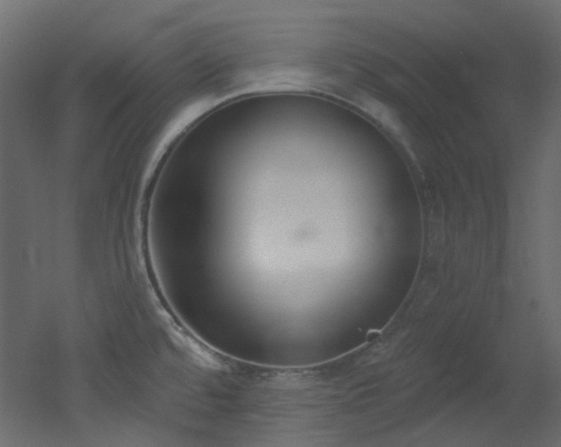 X0000051921480200506241456