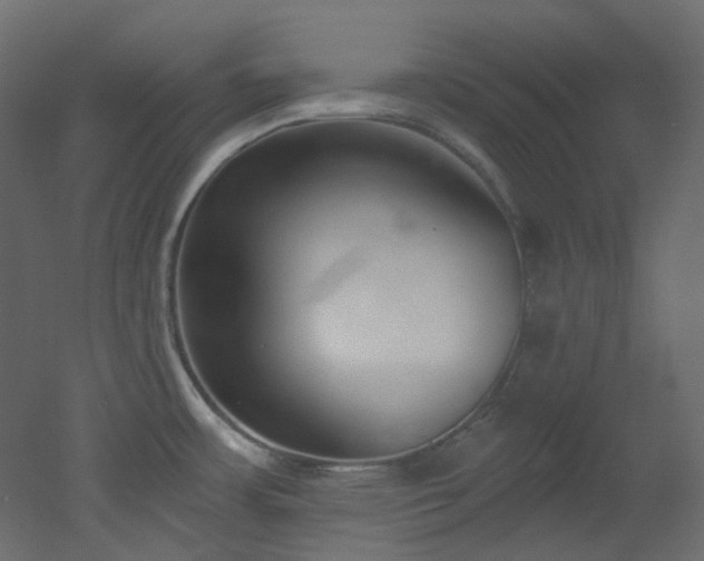 X0000051921483200506241456