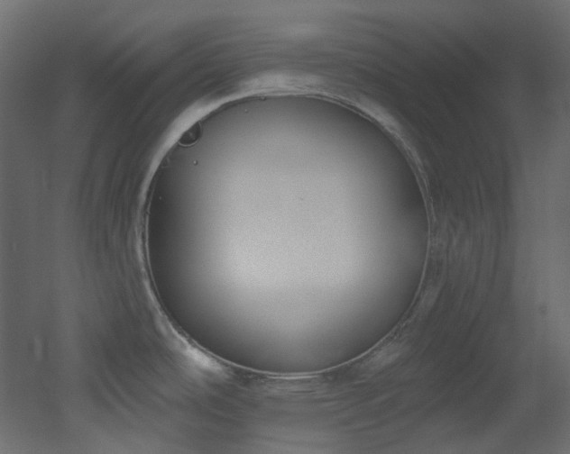 X0000051921486200506241456