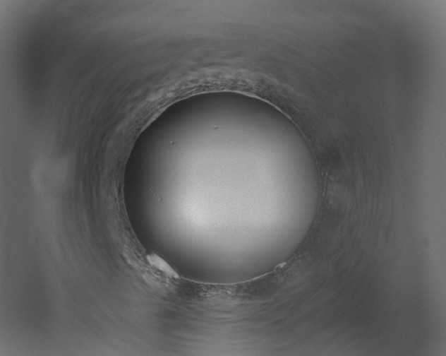 X0000051921489200506241455
