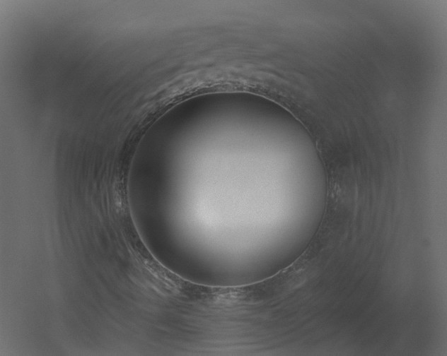 X0000051921490200506241455