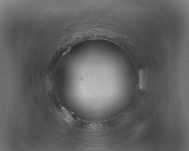 X0000051921491200506241455