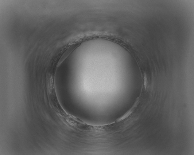 X0000051921492200506241455
