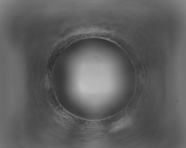 X0000051921493200506241455
