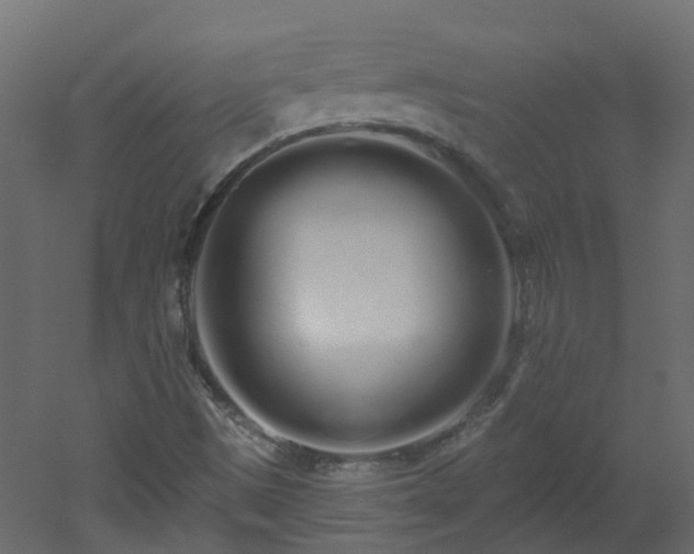 X0000051921497200506241455