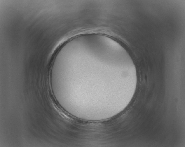 X0000051921498200506241455