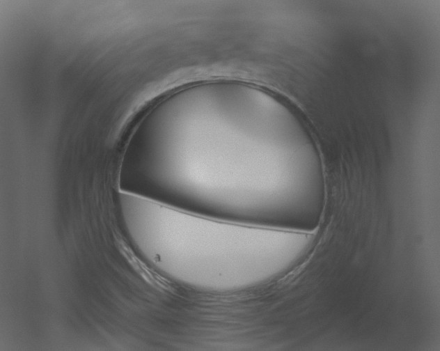 X0000051921499200506241455