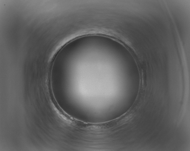X0000051921500200506241455