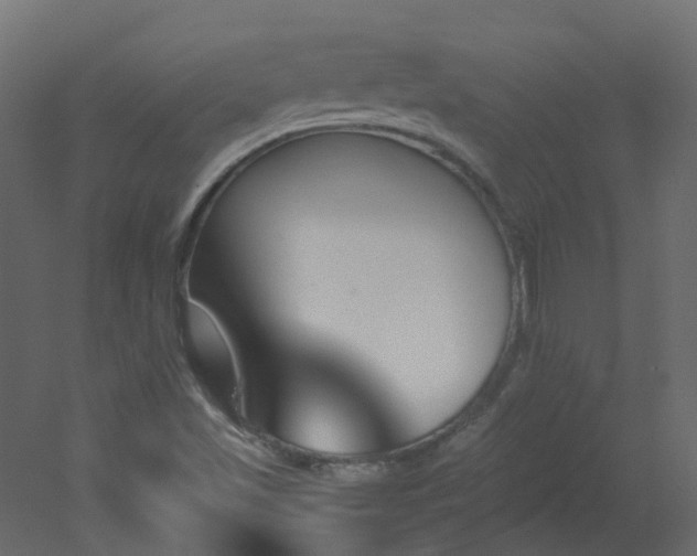 X0000051921501200506241455