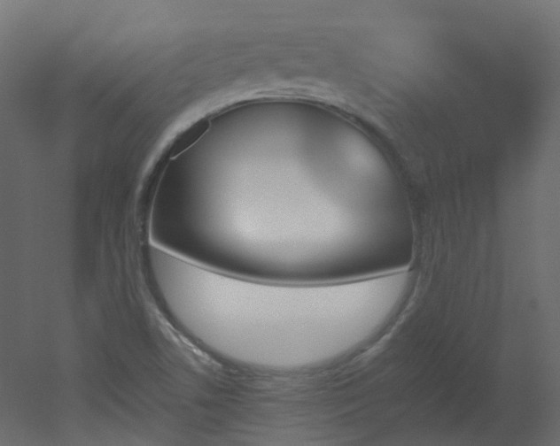 X0000051921506200506241455