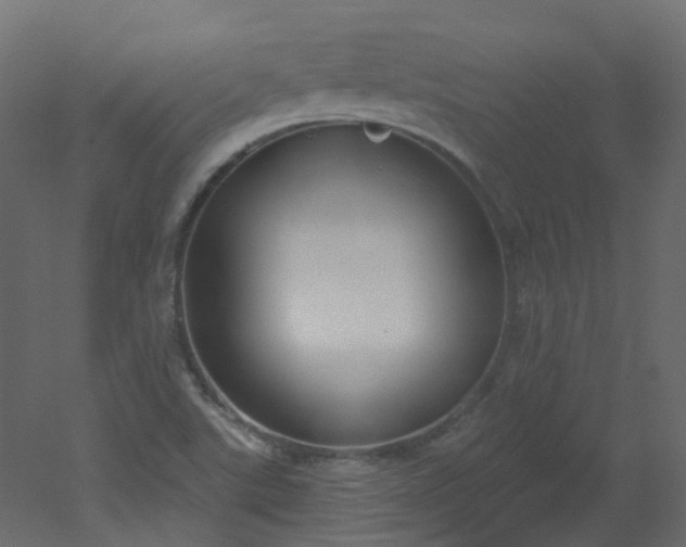 X0000051921507200506241455