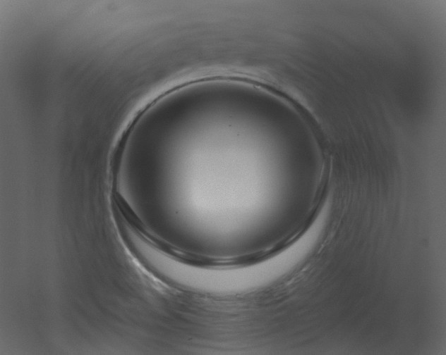 X0000051921508200506241455