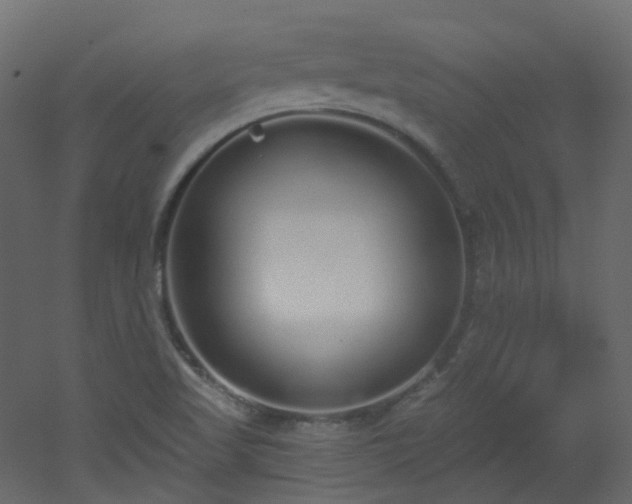 X0000051921509200506241455