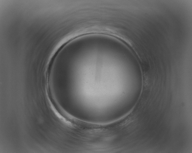 X0000051921515200506241455