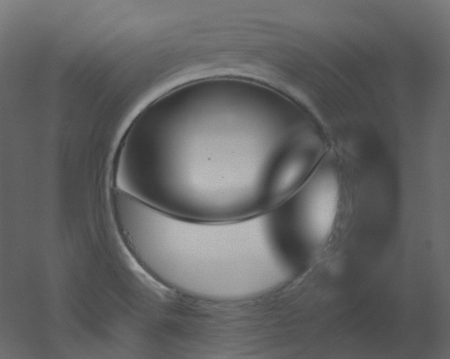 X0000051921516200506241455