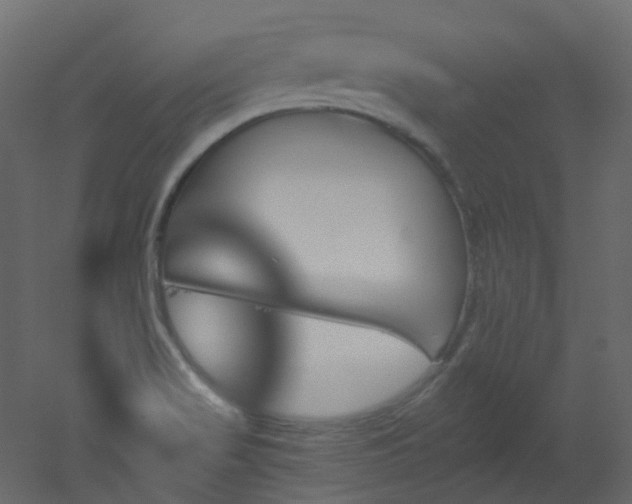 X0000051921517200506241455